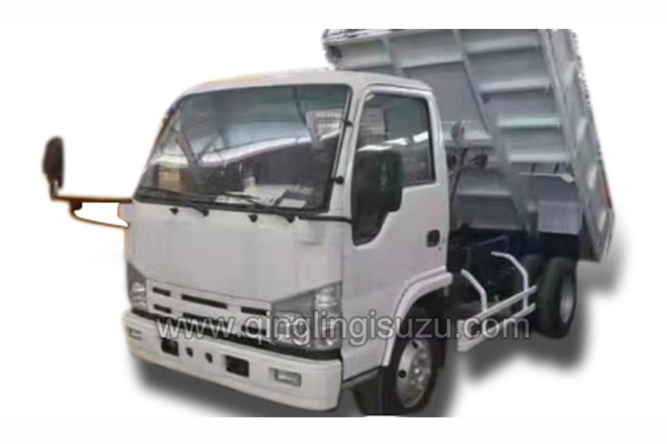 ISUZU CHINA 100P 4x2 3m³Dump Truck