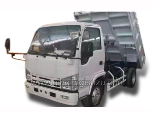 ISUZU CHINA 100P 4x2 3m³Dump Truck