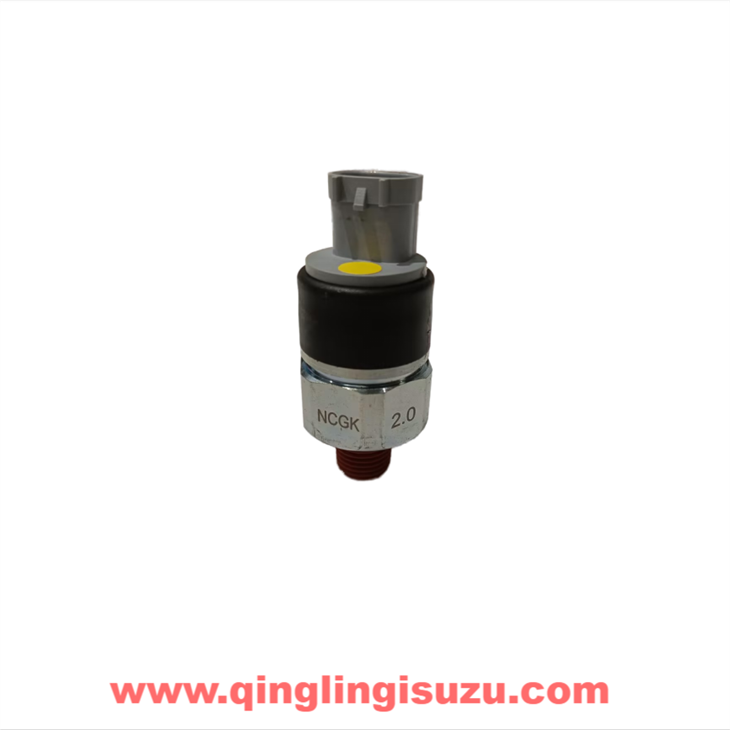8100713-CYZ14 Pressure switch