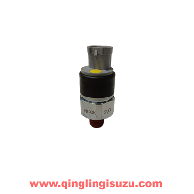 8100713-CYZ14 Pressure switch