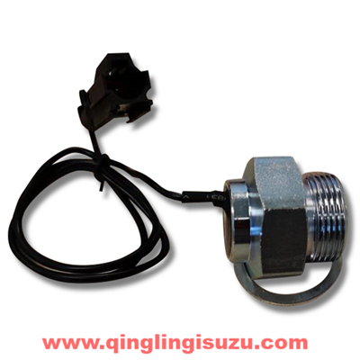 1012019-CYZ14 Sensor bolt