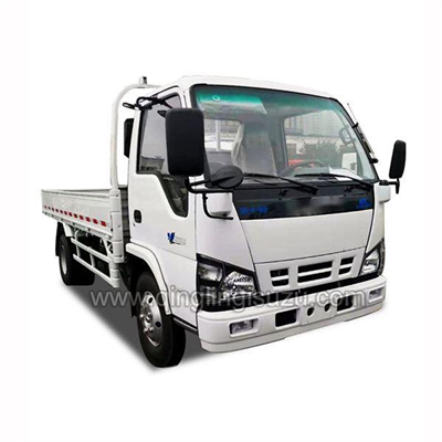 QINGLING  NKR/600P 4x2 Dropside Truck 6 Wheels