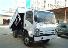 New 4x2 Hydraulic Dump Truck With  Chassis